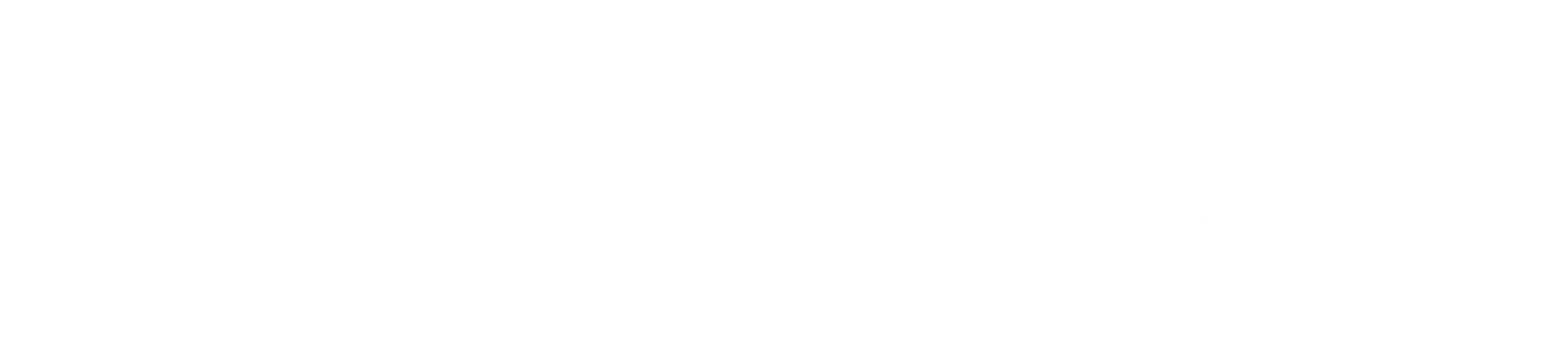 logo light